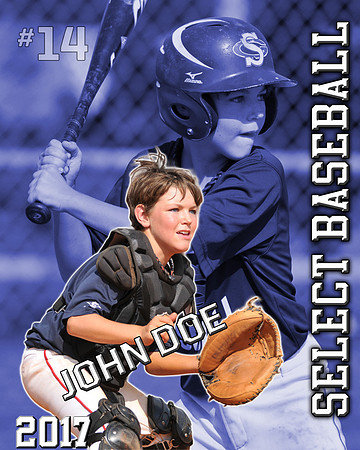 Baseball memory mate